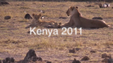 kenya